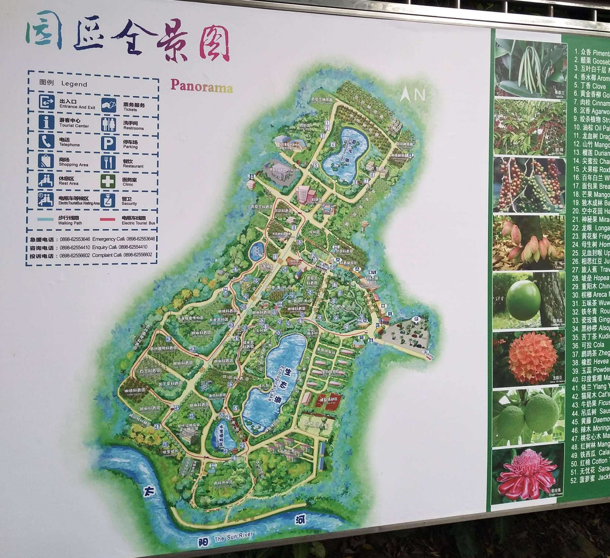 10月份与朋友游玩晨山植物公园 上海也有别样玩法 - 上海游记攻略【携程攻略】