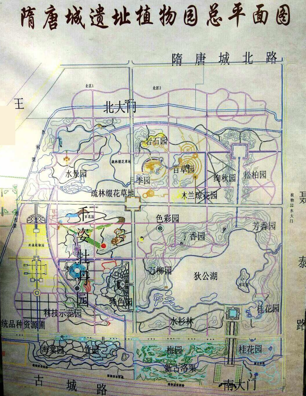 隋唐城遗址植物园图册_360百科