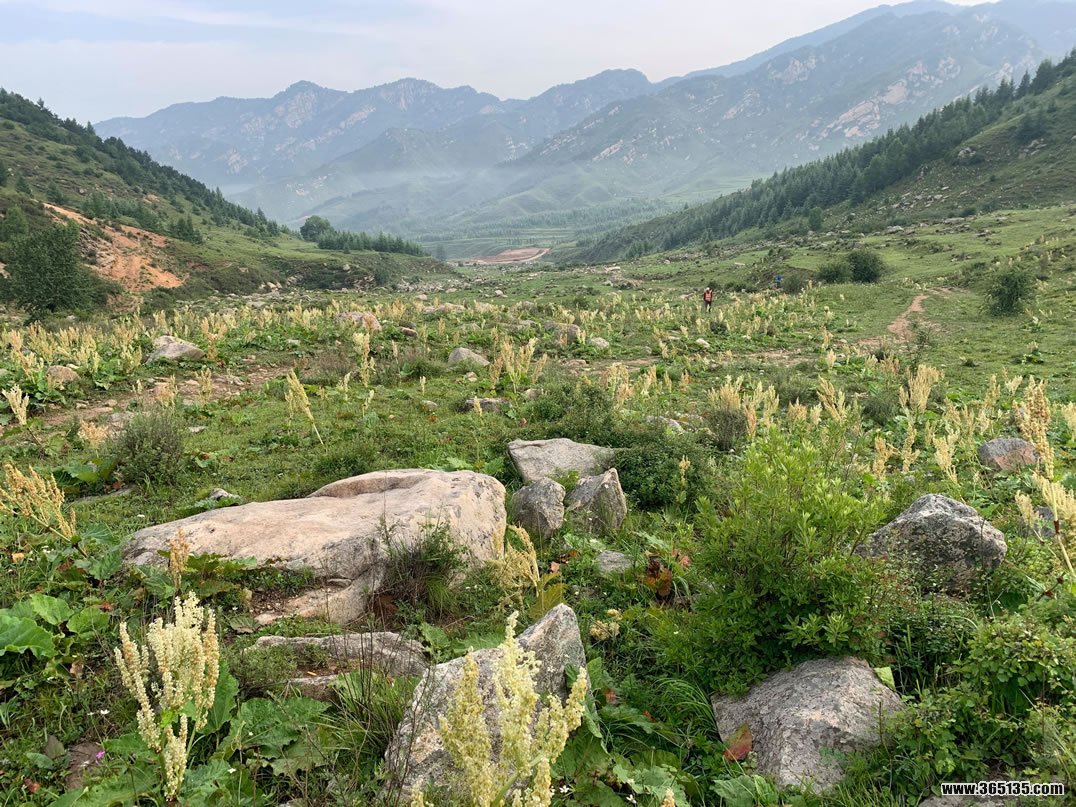 五台县驼梁风景区,绵山风景区,五台县_大山谷图库