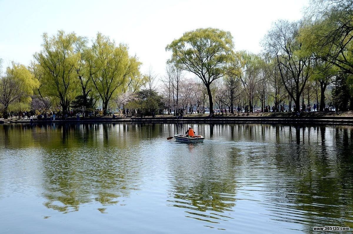 北京玉渊潭公园攻略,北京玉渊潭公园门票/游玩攻略/地址/图片/门票价格【携程攻略】