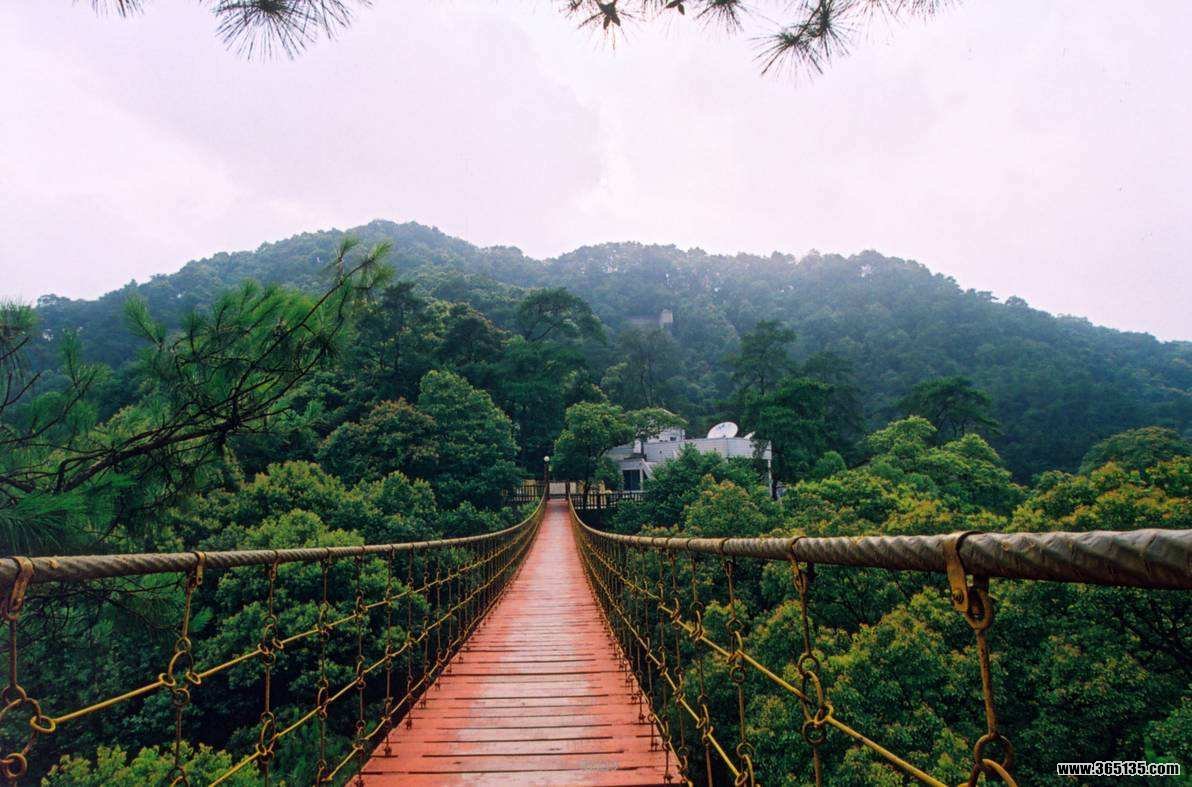 【携程攻略】重庆歌乐山国家森林公园景点,空气太好了，可以坐索道上山，来回五十元，山顶风景好美，壮观！绿色…