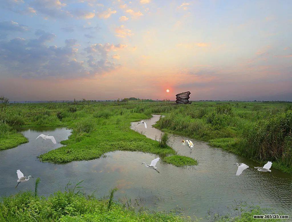 洪泽湖湿地入选“长江流域十大生态保护与修复案例2022”|生态保护_新浪新闻