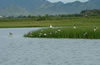鸟类湿地保护区
