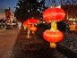 郑州春节夜景