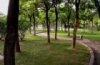 上海滨江公园