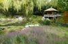 紫竹院公园