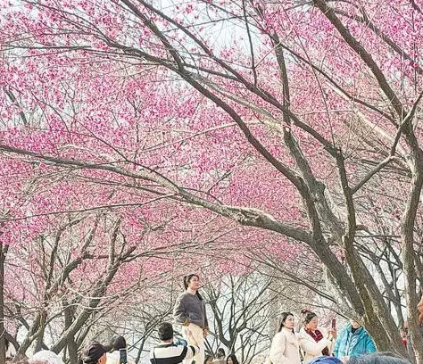 ������ů