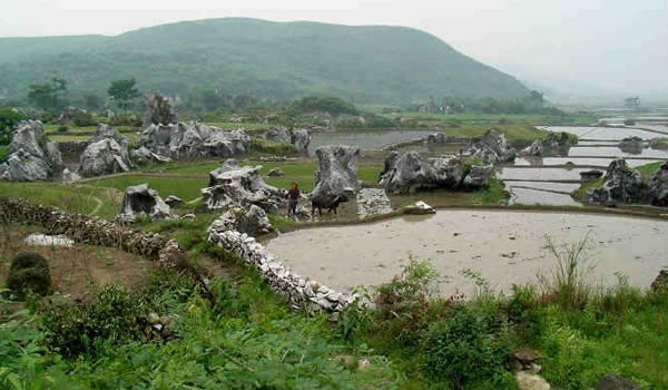 庙前镇行政区划、交通地图、人口面积、地理位